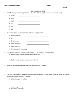 Assignment Packet