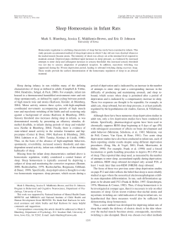 Sleep Homeostasis in Infant Rats - Department of Psychological