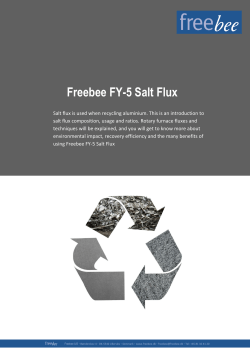 Freebee FY-5 Salt Flux