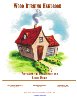 Electric Fireplace - Placer County Air Pollution Control District