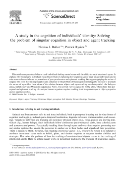 A study in the cognition of individuals` identity: Solving the problem