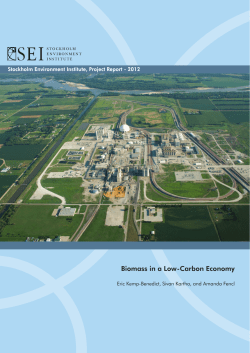 Biomass in a Low-Carbon Economy - Stockholm Environment Institute