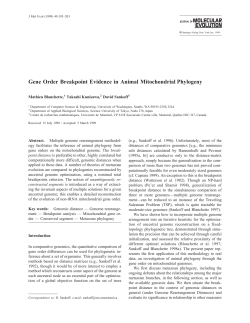 Gene Order Breakpoint Evidence in Animal