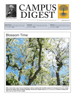 Blossom Time - Merced College