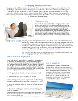 Multi-Sensory Reground Brain Vacation CEO Breathing Managing