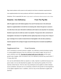 Anaemia - Iron Deficiency From The Pig Site Supplemental Iron