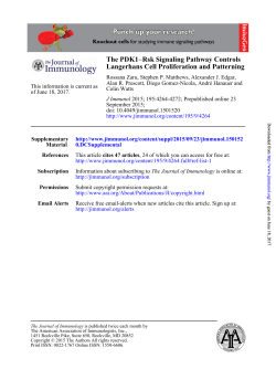 Patterning Langerhans Cell Proliferation and Rsk Signaling