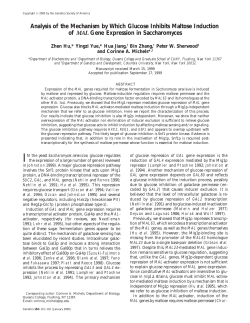 Analysis of the Mechanism by Which Glucose Inhibits