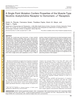 A Single Point Mutation Confers Properties of the Muscle