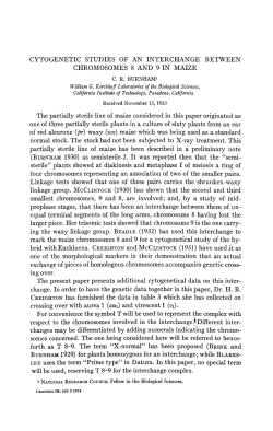 CYTOGENETIC STUDIES OF AN INTERCHANGE BETWEEN