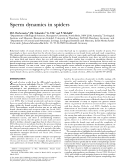 Sperm dynamics in spiders - Oxford Academic