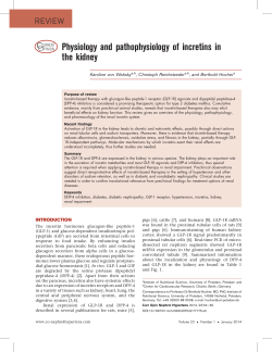 Physiology and pathophysiology of incretins in the kidney
