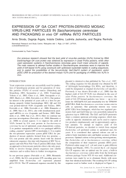 EXPRESSION OF GA COAT PROTEIN