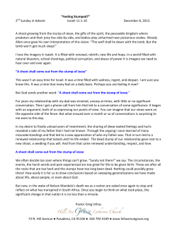 PDF - Hill Avenue Grace Lutheran Church