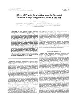 Effects of Protein Deprivation from the Neonatal Period on Lung