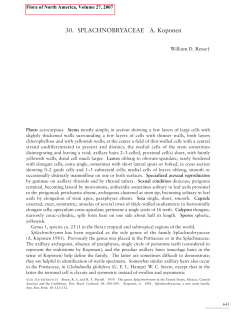 30. SPLACHNOBRYACEAE A. Koponen