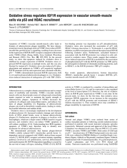 Oxidative stress regulates IGF1R expression in vascular smooth