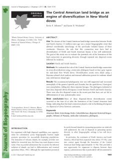 The Central American land bridge as an engine of diversification in