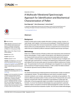 A Multiscale Vibrational Spectroscopic Approach for