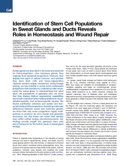 Identification of Stem Cell Populations in Sweat Glands and Ducts