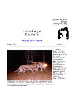 February - Cougar Rewilding Foundation