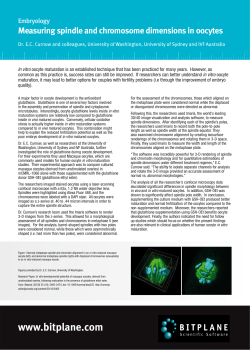 Measuring spindle and chromosome dimensions in oocytes