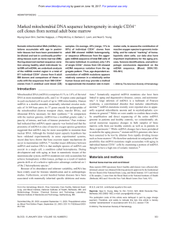Marked mitochondrial DNA sequence heterogeneity