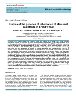 Studies of the genetics of inheritance of stem rust resistance in