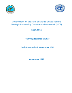 Government of the State of Eritrea-United Nations Strategic