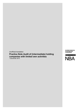 Practice Note Audit of (intermediate) holding companies with limited