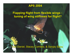 Flapping Flight From Flexing Wings: Tuning of Wing