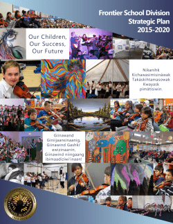 FSD Strategic Plan - 2015-2020