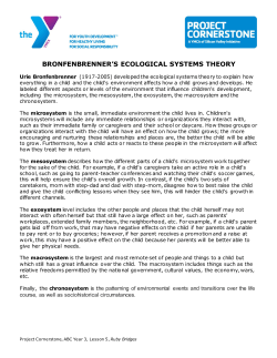 bronfenbrenner`s ecological systems theory