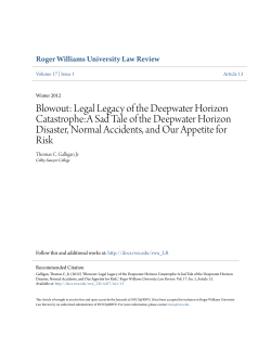 Blowout: Legal Legacy of the Deepwater Horizon