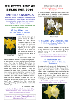 Bulb Catalogue 2016