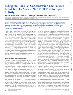 Riding the Tides: K+ Concentration and Volume
