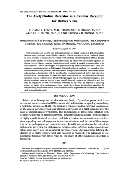 The Acetylcholine Receptor as a Cellular Receptor