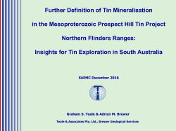 Further Definition of Tin Mineralisation in the Mesoproterozoic