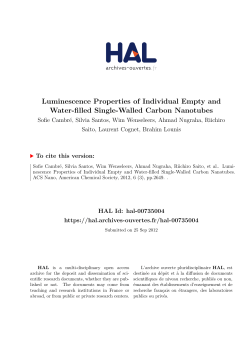 Luminescence Properties of Individual Empty and Water - HAL-IOGS