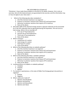 chapter8quiz - WordPress.com