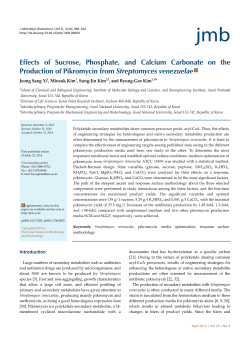 Effects of Sucrose, Phosphate, and Calcium Carbonate on the