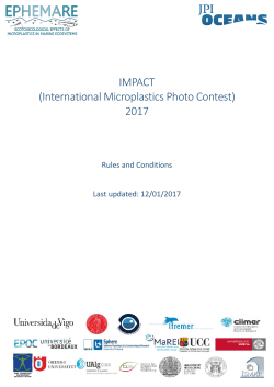 Rules and Conditions PDF