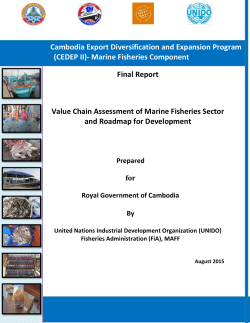 Marine Fishery Value Chain Report_2015.09.039