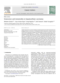 Senescence and immortality in hepatocellular carcinoma