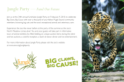 Jungle Party &mdash; Fund Our Future