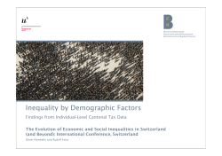 Inequality by Demographic Factors