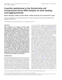 A perfect palindrome in the Escherichia coli chromosome forms DNA