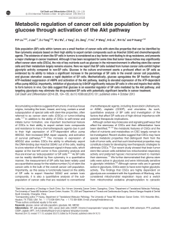 Metabolic regulation of cancer cell side population by