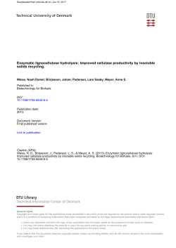 Enzymatic lignocellulose hydrolysis