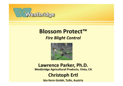 Blossom Protect